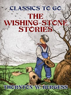 Cover The Wishing-Stone Stories (eBook, ePUB)