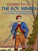 The Boy Miners, or, The Enchanted Island, A Tale Of the Yellowstone Country (eBook, ePUB)