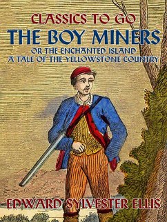 The Boy Miners, or, The Enchanted Island, A Tale Of the Yellowstone Country (eBook, ePUB) - Ellis, Edward Sylvester