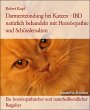 Darmentzündung bei Katzen - IBD... - Bild 1