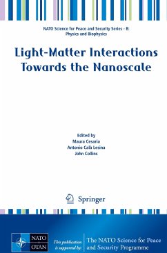 Light-Matter Interactions Towards the Nanoscale