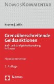 Grenzüberschreitende Geldsanktionen