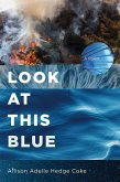 Look at This Blue (eBook, ePUB)