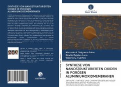 SYNTHESE VON NANOSTRUKTURIERTEN OXIDEN IN PORÖSEN ALUMINIUMOXIDMEMBRANEN - Salguero Salas, Marcelo A.; Bajales Luna, Noelia; Fuertes, Valeria C.