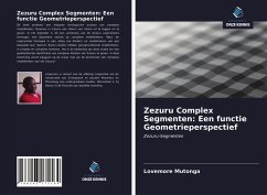 Zezuru Complex Segmenten: Een functie Geometrieperspectief - Mutonga, Lovemore