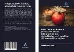 Effecten van Punica granatum en/of Sitagliptine op diabetische nefropathie bij mannelijke ratten - Mohamed, Hanan