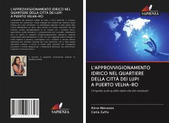 L'APPROVVIGIONAMENTO IDRICO NEL QUARTIERE DELLA CITTÀ DEI LUPI A PUERTO VELHA-RO - Menezes, Aline; Zuffo, Catia