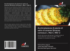 Acclimatazione di piante di vetro di ananas (Ananas comosus L. Merr.) MD-2 - Pino Legrat, Yaima; González Olmedo, Justo; Rodríguez Sánchez, Romelio