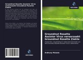 Groundnut Rosette Assistor Virus veroorzaakt Groundnut Rosette Ziekte