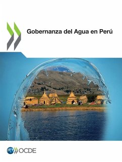Cover Gobernanza del Agua en Perú