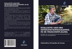 EVALUATIE VAN EEN INTERVENTIEPROGRAMMA IN DE MAAGVERPLEGING