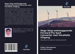 Cover Hoge Stap-omhooggaande Forward-Fly back Converter met Parallelle Uitgang