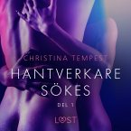 Hantverkare sökes Del 1 - erotisk novell (MP3-Download)