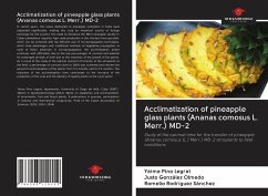 Acclimatization of pineapple glass plants (Ananas comosus L. Merr.) MD-2 - Pino Legrat, Yaima; González Olmedo, Justo; Rodríguez Sánchez, Romelio