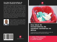 Uso ideal de incineradores de resíduos sanitários na África - Kamelan, C. Omer Pokou;Ouffoue, A. Fulgence;Kouami, K. Jasvire