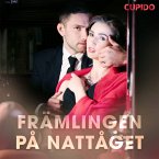 Främlingen på nattåget (MP3-Download)