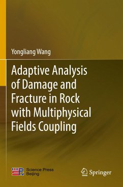 Adaptive Analysis of Damage and Fracture in Rock with Multiphysical Fields Coupling - Wang, Yongliang