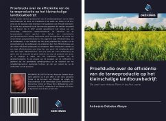 Proefstudie over de efficiëntie van de tarweproductie op het kleinschalige landbouwbedrijf: - Debebe Aboye, Anbessie