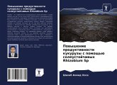 Powyshenie produktiwnosti kukuruzy s pomosch'ü soleustojchiwyh Rhizobium Sp