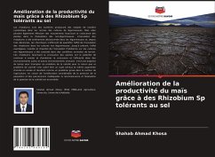 Amélioration de la productivité du maïs grâce à des Rhizobium Sp tolérants au sel - Ahmad Khosa, Shahab