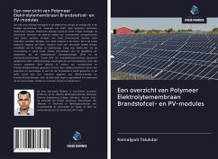 Een overzicht van Polymeer Elektrolytemembraan Brandstofcel- en PV-modules - Talukdar, Kamaljyoti