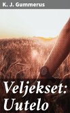 Veljekset: Uutelo (eBook, ePUB)