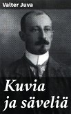 Kuvia ja säveliä (eBook, ePUB)