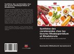 Synthèse des caroténoïdes chez les levures Rhodosporidium et Rhodotorula