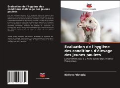 Évaluation de l'hygiène des conditions d'élevage des jeunes poulets - Victoria, Kirilova