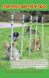 Four Dogs and Their Tales - Bild 1