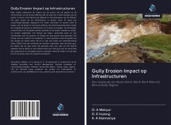 Gully Erosion Impact op Infrastructuren - Makyur, O. A; Inyang, O. E; Asemanya, A. A