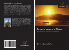 Spalanie biomasy w Ghanie - Parker, Bismark Quarku