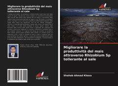 Cover Migliorare la produttività del mais attraverso Rhizobium Sp tollerante al sale