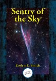 Sentry of the Sky (eBook, ePUB)