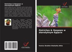 Ostriches & Hoopoes w staro¿ytnym Egipcie - Shehatta Attia, Venice Ibrahim