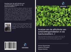 Analyse van de efficiëntie van ontsmettingsmiddelen in sla (Lactucasativa L. ) - Figueiredo, Elaine; Carvalho, Layana; Santos, Rayssa