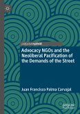 Advocacy NGOs and the Neoliberal Pacification of the Demands of the Street (eBook, PDF)