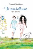 Un posto bellissimo (eBook, ePUB)