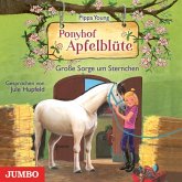 Große Sorge um Sternchen / Ponyhof Apfelblüte Bd.18 (Audio-CD) Große Sorge um Sternchen / Ponyhof Apfelblüte Bd.18 (Audio-CD)