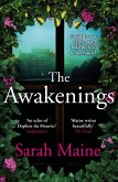 The Awakenings (eBook, ePUB)