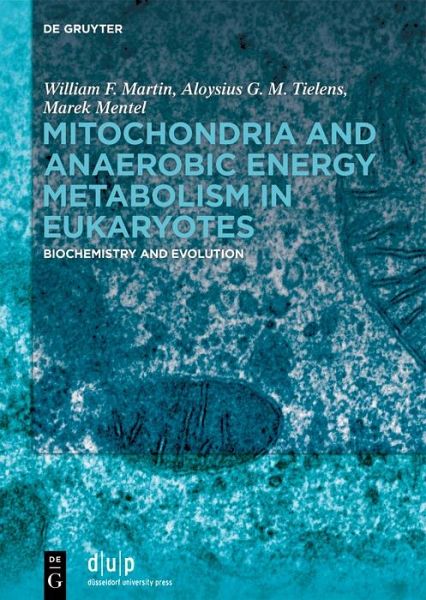 Mitochondria and Anaerobic Energy Metabolism in Eukaryotes (eBook, ePUB)
