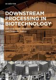 Downstream Processing in Biotechnology (eBook, ePUB)