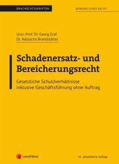 Bürgerliches Recht - Schadenersatz- und Bereicherungsrecht (Skriptum) - Graf, Georg;Brandstätter, Natascha