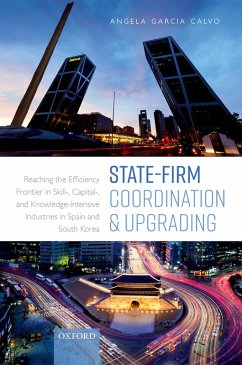 State-Firm Coordination and Upgrading (eBook, PDF) - Garcia Calvo, Angela