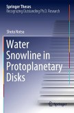 Water Snowline in Protoplanetary Disks