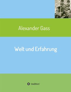 Welt und Erfahrung - Gass, Alexander