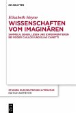 Wissenschaften vom Imaginären (eBook, ePUB)