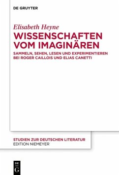 Cover Wissenschaften vom Imaginären (eBook, ePUB)