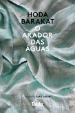 O arador das águas (eBook, ePUB)