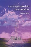 Tudo que eu sinto ao anoitecer (eBook, ePUB)